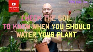 Check the soil with your finger - great method 