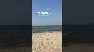 Стать счастливее можно в любой момент  см.описание к ️ #статьлучше #статьсчастливой #счастье