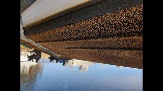 How to remove barnacles from your boat