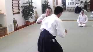 Vu Ha Seminar @ Portsmouth Aikido - Iriminage Kaeshiwaza