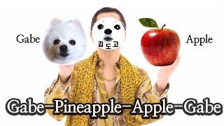 PPAP 강아지 리믹스 (Gabe the dog cover) 펜 파인애플 애플 펜 패러디