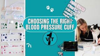 Choosing the right veterinary Blood Pressure Cuff   🩺 Vet1