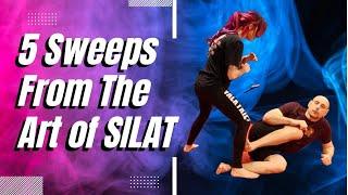 Tutorial Video on How to Do 5 Sweeps from the Martial Art of Silat