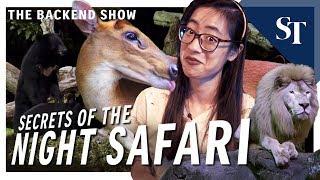 What’s in the Singapore Night Safari? | The Backend Show | ST