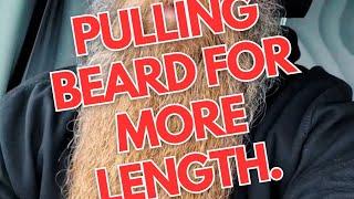 Pulling Beard For More Growth? | Beard Life | Braw Beard (2023) #beardlife #beardfacts