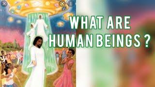 Dr.Malachi Z York - What Are Human Beings?