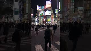 The Most Populated Road in the World! Shibuya - Tokyo | Travel Couple #travel #japan #short #shorts