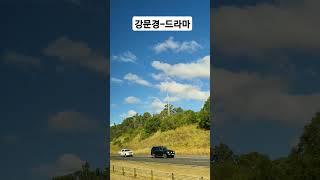 #강문경#뽕신#드라마#현역가왕#뽕신사랑#호주시드니 여행중 #아름다운풍경 #여행에진심 '#여행은언제나옳다 #트로트