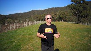 Visiting the Giant Steps vineyards in Australia's Yarra Valley