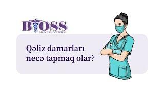 Qəliz Damarları necə tapmaq olar? | Bioss Tibb Kursları