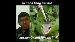 Jutaan Orang Tertipu Si Kecil Yang Cerdas Ini !!