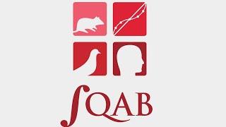 Адаптивный выбор - Говард Рахлин