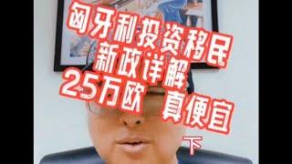 匈牙利投资移民新政详解！25万欧基金，50万欧购房（下）#黄金签证#欧盟护照#匈牙利移民#欧洲移民避坑讲堂#葡萄牙移民