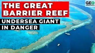 The Great Barrier Reef: Undersea Giant in Danger