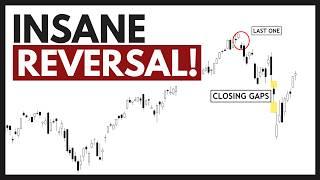 Technical Analysis of Stocks: NVDA / TSLA / SPY / QQQ / PLTR / AMD