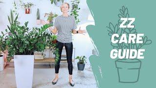 How To Grow A Happy ZZ Plant - Care Guide - Zamioculcas Zamiifolia 