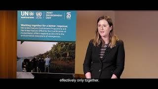 Margherita Fanchiotti's experiences working with the UN Environment/OCHA Joint Unit