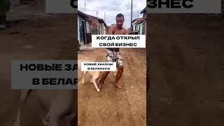 Законодательство в Беларуси для ИП