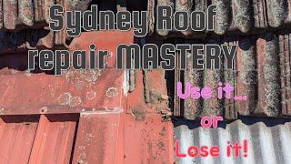 Sydney Roof repair mastery   use it or lose it