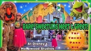 Muppet Vision 3D RARE! Sweetums character meet and greet! Disney World’s Hollywood Studios! NEW 2018