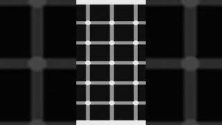 Optical illusion black and white dots 착시현상 검은점과 하얀점