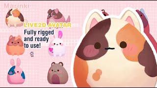 Customizable Bunny, Cat, Bear, Dog vtuber model