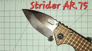 Strider AR .75 First Impression Review @dailygearguide