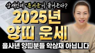 2025년 을사년 양띠운세 삼재인데도 들어오는 문서운?? 악삼재 아니다~ [인천용한점집 청화신당]