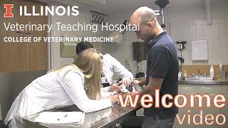 Welcome to the Illinois Veterinary Teaching Hospital