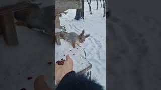 Ешь, маленький, что ты спрятался...