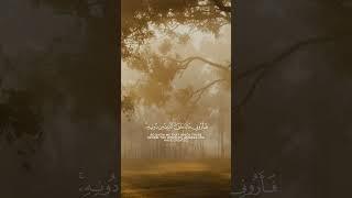 Quran ki tilawat - best tilawat #recitation #quran
