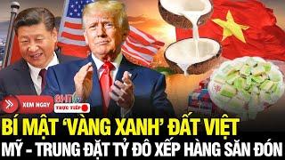 Nước Mỹ Rúng Động: Trái giản dị Việt Nam, lột xác thành 'vàng xanh' đắt giá, Mỹ - Trung xếp hàng!