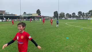 Sydenham DF vs Brimbank Stallions U9