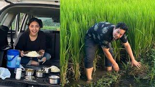 Guwahati to Goreswar| Lunchin the car| Paddyfield view