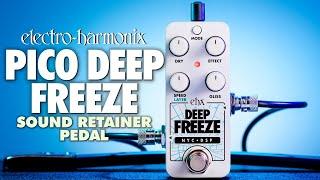 Electro-Harmonix PICO DEEP FREEZE Sound Retainer / Sustainer (EHX Demo by JON SKIBIC)