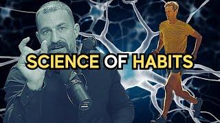 HOW TO BUILD HEALTHY HABITS | NEUROSCIENCE | Andrew Huberman