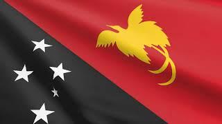 Flag of Papua New Guinea waving in the wind - Flag animation - Motion background - 4K UHD