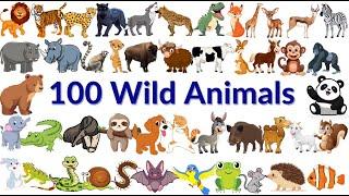 100 Animals Name | Wild Animals for Kids | Animals Vocabulary In English | Kids TV