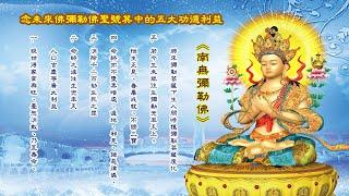 1小時 南無彌勒佛 聖號 高清 1 hour Namo Maitreya Buddha chant male and female voice 佛菩薩聖號唱誦 佛號唱誦 佛號唱誦 音樂 佛教音樂