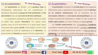 Biologie Animale BCG S2 / Chapitre I (Partie 2) : Étapes du développement embryonnaire شرح بالدارجة