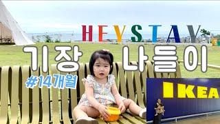 육아기록 | 동부산 이케아  | 기장카페 헤이스테이 | 14개월 아기의 하루 