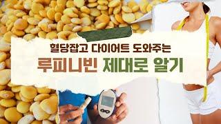 혈당 잡고 다이어트 도와주는 콩 루피니빈 제대로 알기