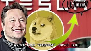 狗狗币、特朗普、马斯克三者之间的关系！DOGECOIN狂暴大牛市冲击0.7美金的关键点位！DOGE、SHIB等Meme币的牛市行情！