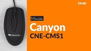 Распаковка мыши Canyon CNE-CMS1 / Unboxing Canyon CNE-CMS1