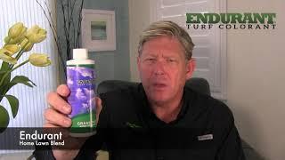 Endurant Home Lawn Blend Grass Paint