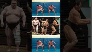 Sumo Wrestler Muscles Under Fat