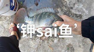 这河就只有一种鱼？它现在敢吃sai，以后就敢吃人！