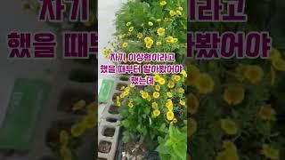 결혼생활 답이 없는 새언니 #시청자사연 #가족이야기