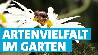 So können Sie mit ihrem Garten die Artenvielfalt fördern