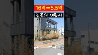 66% 폭락한 세종시 단독주택! 바닥 밑에 지하실?!